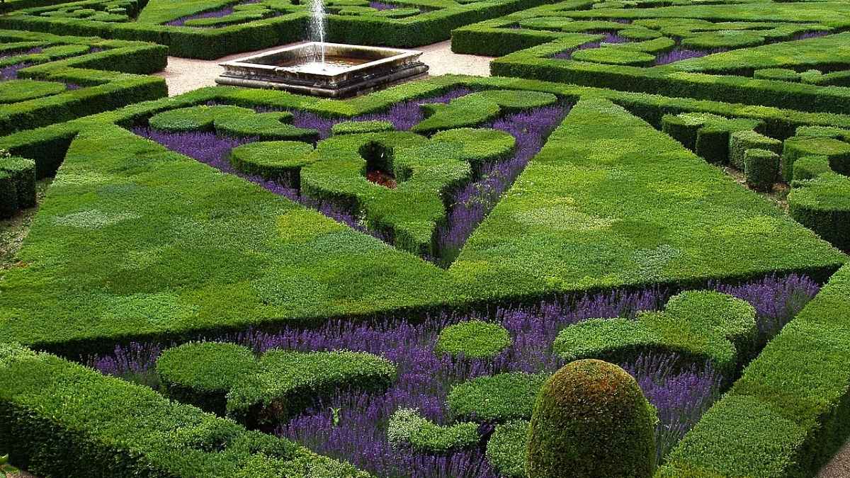 Uttarakhand Has A 3-B Garden Designed For Bees, Birds & Butterflies, And It’s At The Circuit House