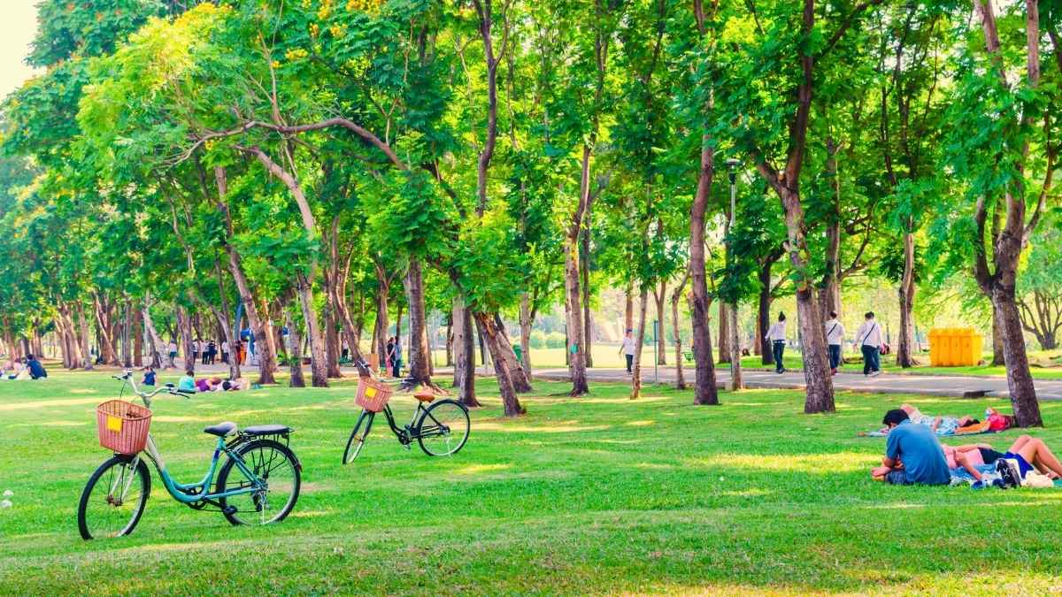 Dehradun To Get Pink Park, A Women-Only Space With Enhanced Security & Pink-Themed Infrastructure