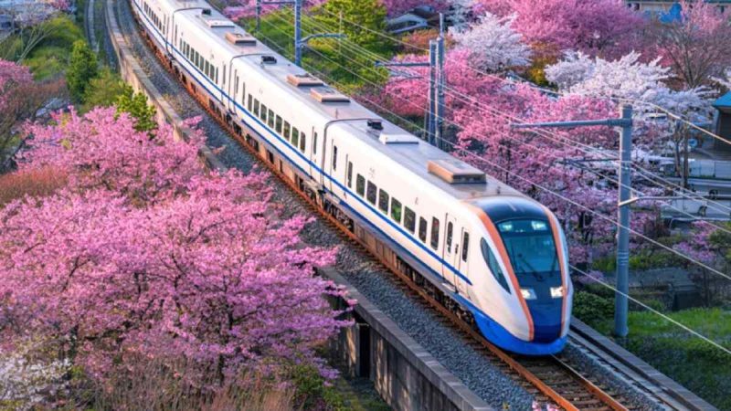 Delhi To Siliguri In 6 Hours? New Bullet Train Announced Via Lucknow, Varanasi & Patna