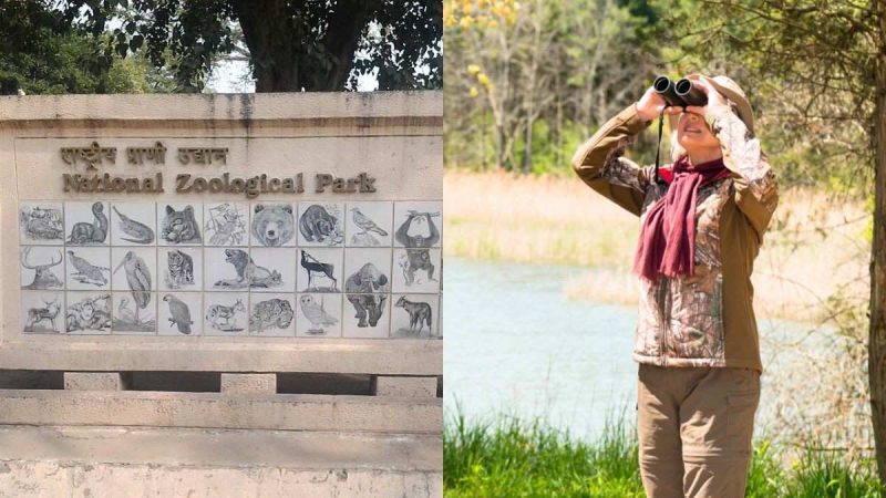 Delhi Zoo Introduces Sunday Bird Walk: How To Book Slots? What Birds Can You Spot?
