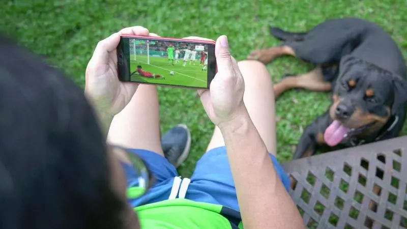 UAE Football Fans, Beware Of Fake World Cup Scams That May Steal Your Data, Passwords & More