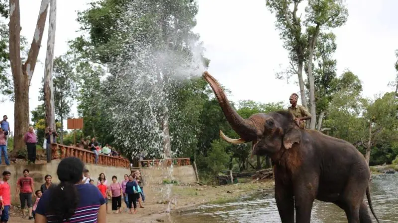 Karnataka elephant camp rules