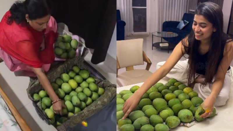 “Meri Bahu Khayegi,” MIL Sends Suitcase Full Of Mangoes To Daughter-In-Law In Bengaluru