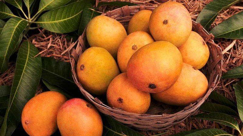 From Qatar’s New Buildings To Kuwait’s Indian Mango Festival, 10 Middle East Updates