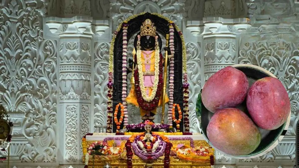 Ayodhya’s Ram Lalla Offered World’s Costliest Miyazaki Mango Worth ₹1 lakh!