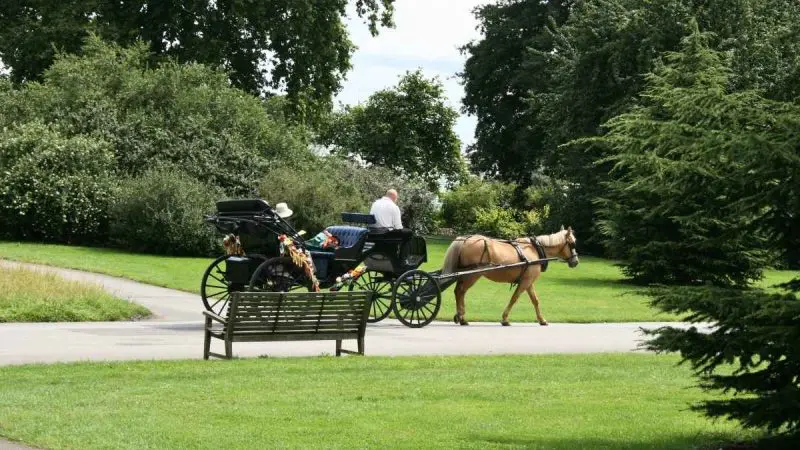 Will New York Ban Horse Carriage Rides In Central Park After Indian Teen’s Death?