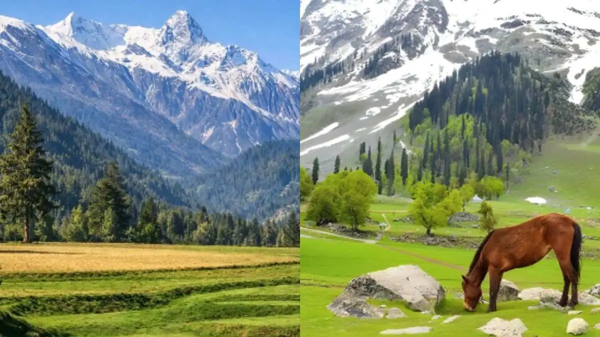 Shumali Kashmir Tourism Portal Launched In North Kashmir; Here’s How It Can Help Travellers
