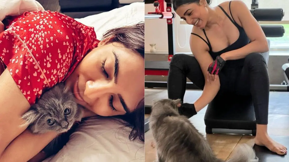 Why Mom-To-Be Samantha Ruth Prabhu Named Her Cat ‘Gelato’