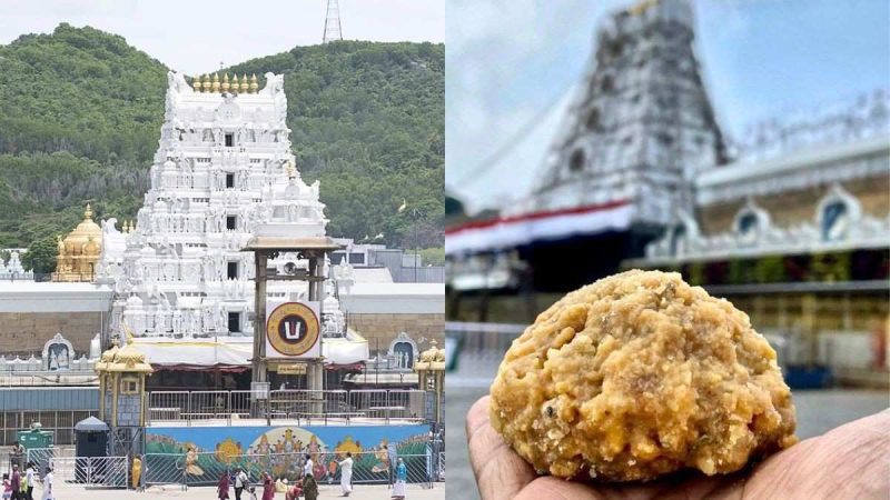 Tirupati Laddu Sales Break Record! Over 1.21 Crore Laddus Sold In May 2026