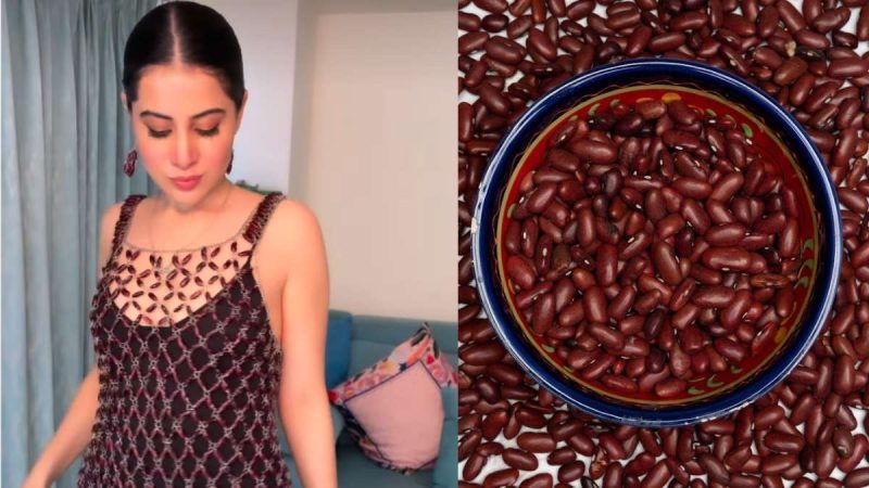 Rajma Couture Over Rajma Chawal! Uorfi Javed Clearly ‘Ate’ & Left No Crumbs With Latest Creation
