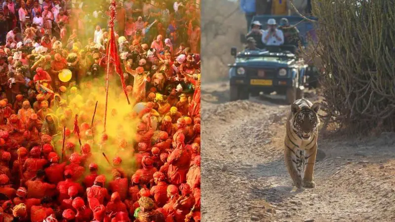 Think You’ve Seen India? Not Until You’ve Experienced These 10 Incredible Bucket-List Moments