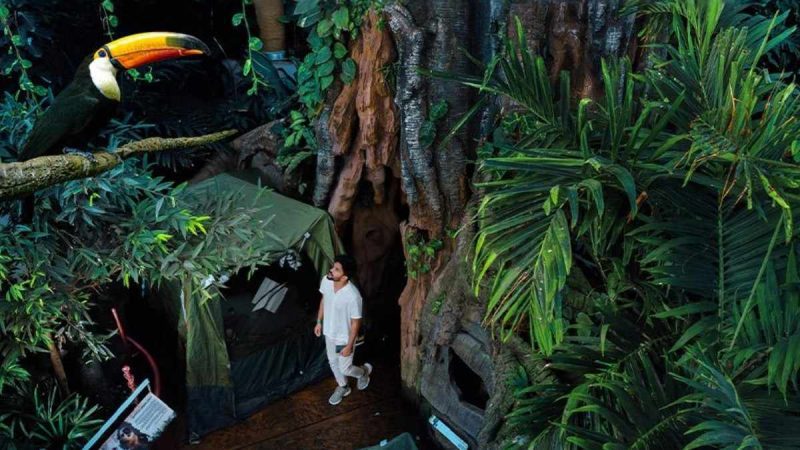 Green Planet Brings Back Camping Experience For Kids; Here’s All About Costs, Experience & More