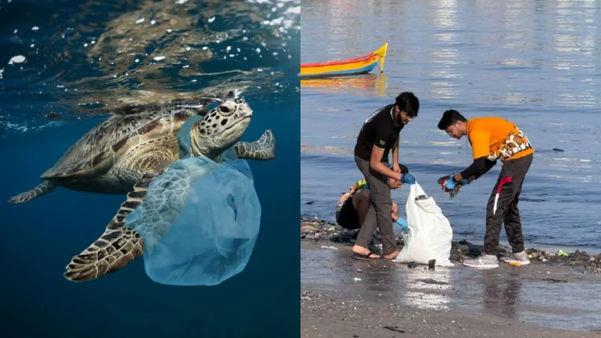 World Environment Day 2026: Why Small Everyday Choices Matter More Than Ever Right Now