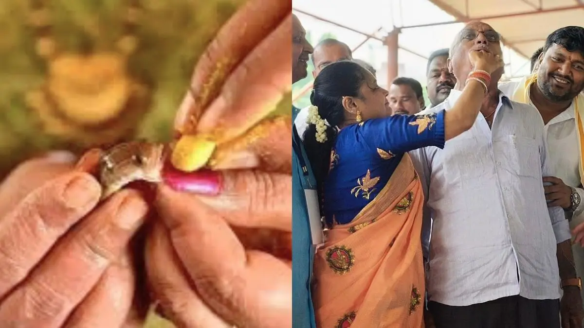 What Is Hyderabad’s Annual Fish Prasadam Ritual That Has Been Happening Since 1845?