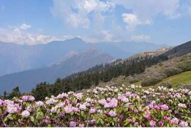 indian travel experiences