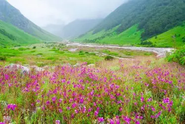 seasonal places india
