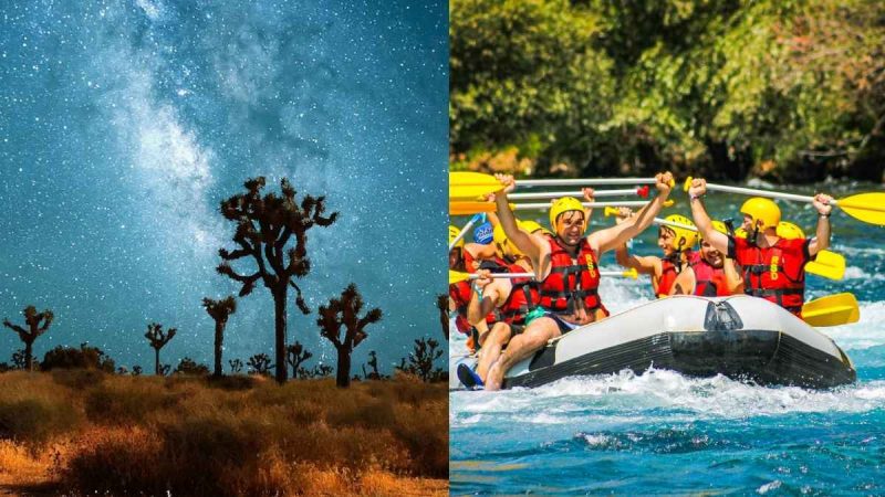 Only 1% Of Indians Have Done More Than 80% Of This Travel Bucket List, What’s Your Score?