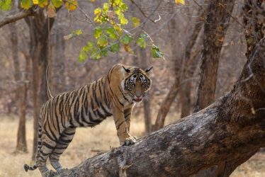 travel experiences india
