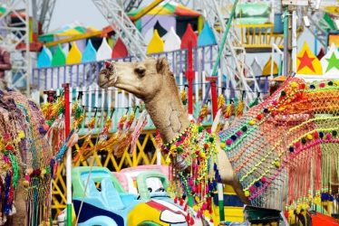 travel experiences india