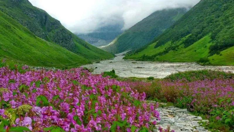 Valley Of Flowers National Park Reopens: What Is The Best Time To Visit & How To Reach?