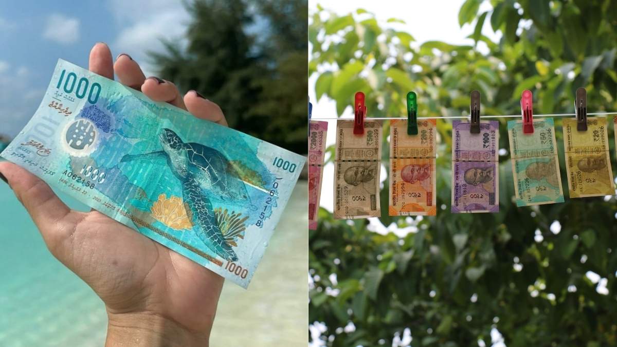 12 World’s Most Beautiful Currency Notes Worth Keeping As Travel Souvenirs