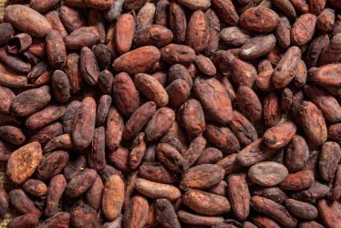 world chocolate day
