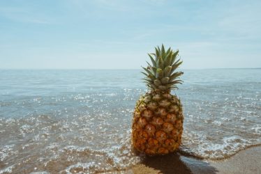 world pineapple day