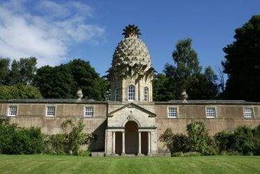 world pineapple day