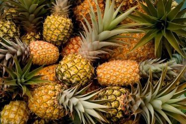 world pineapple day