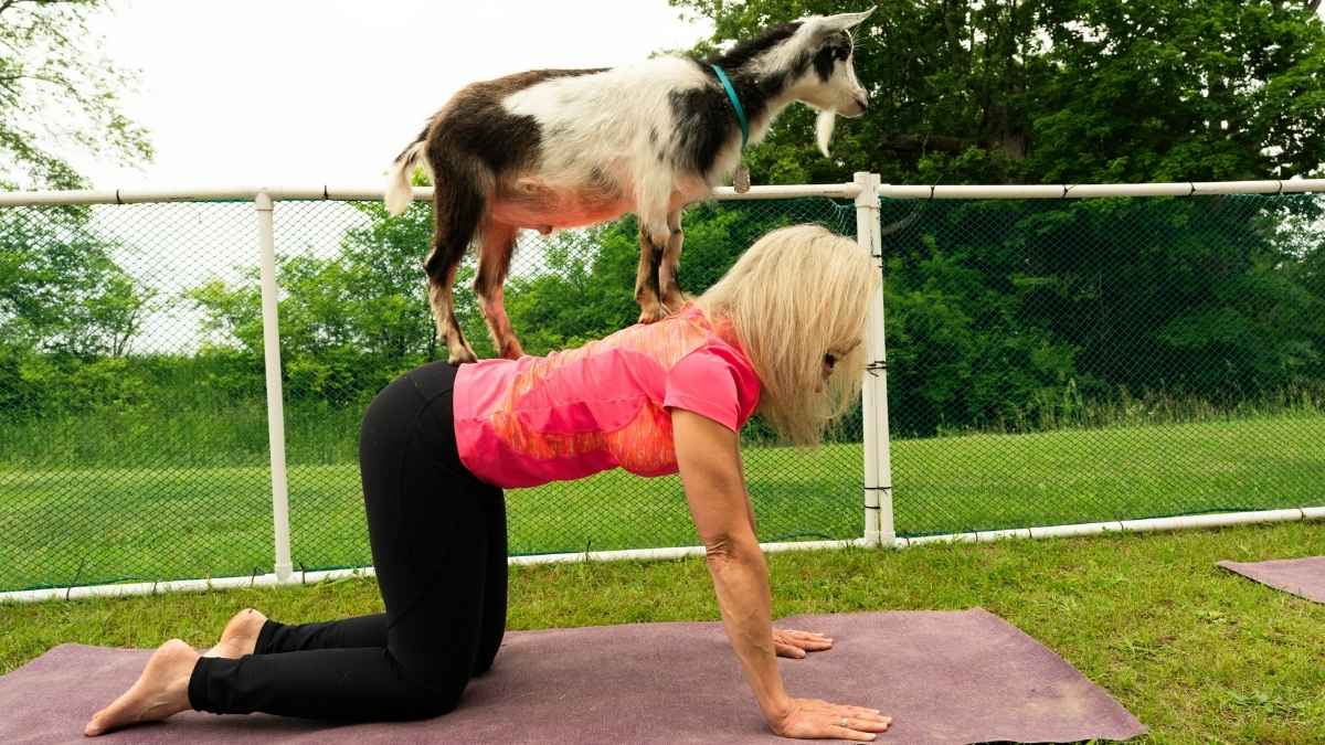 Goat Yoga To Beer Yoga, 5 Types Of Yoga That Is Popular Across The World