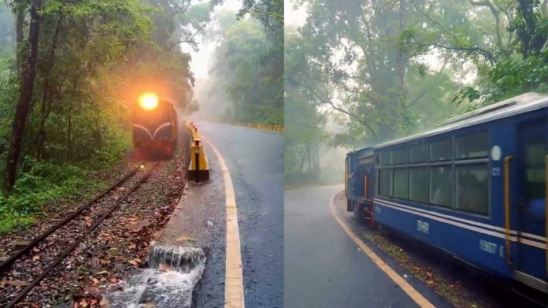 ‘Ride Into A Picture Book’: Anand Mahindra Recommends This Rain Train Journey In Siliguri