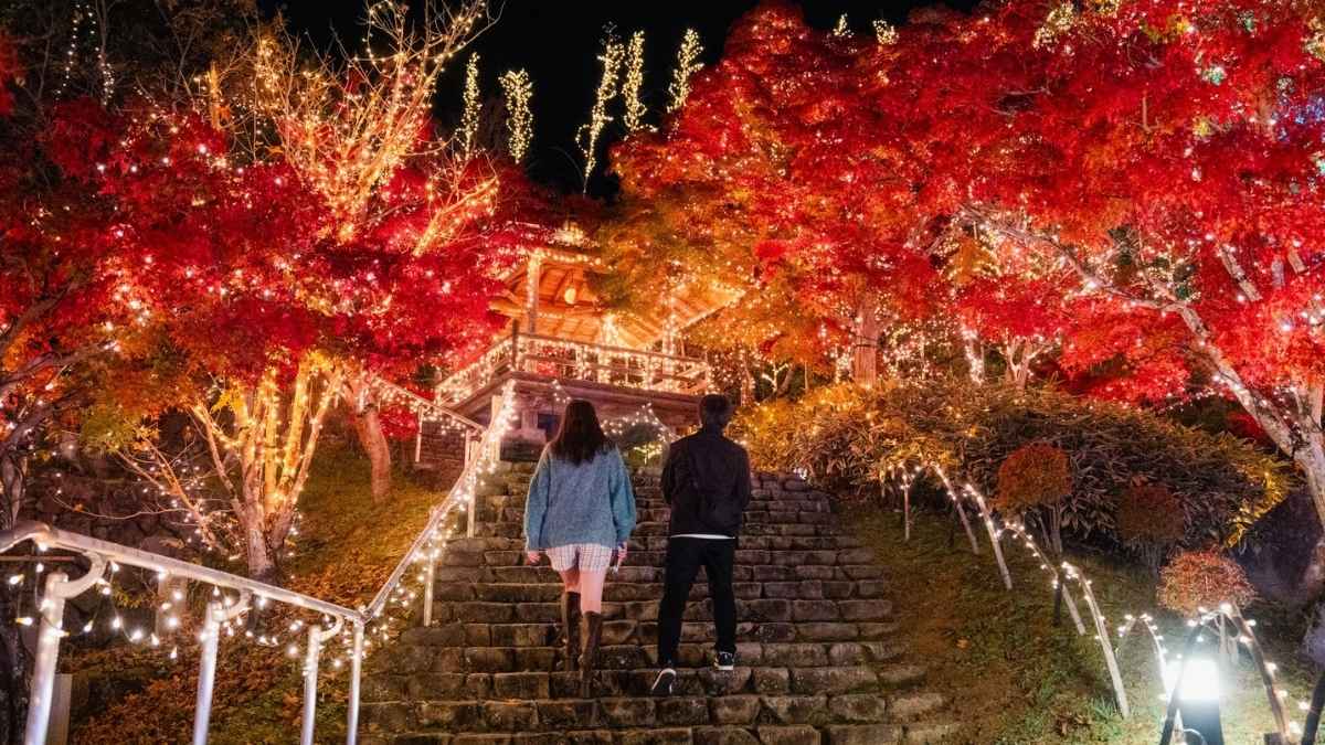 Think Japan Is Just Sakura? This 160-Year-Old Wisteria Garden Will Leave You Spellbound