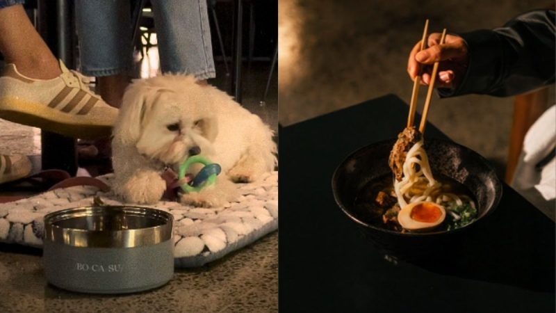 Dog Parents, This Pet-Friendly Café In Dubai Is Giving FREE Treats For Your Furry Friend!