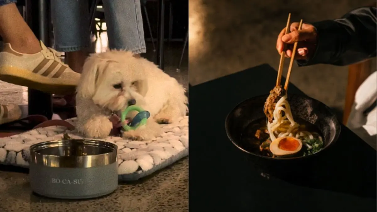 Dog Parents, This Pet-Friendly Café In Dubai Is Giving FREE Treats For Your Furry Friend!