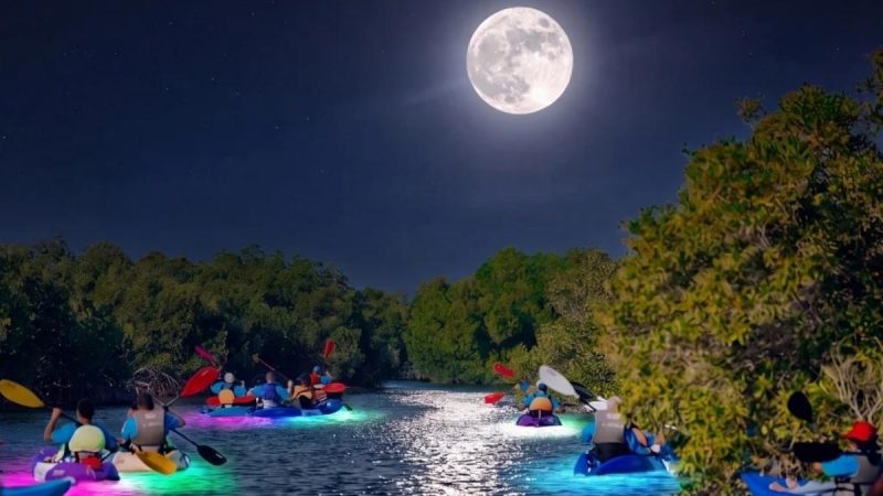 At Just AED99, Kayak Through Abu Dhabi’s Mangroves Under The Full Moon This July