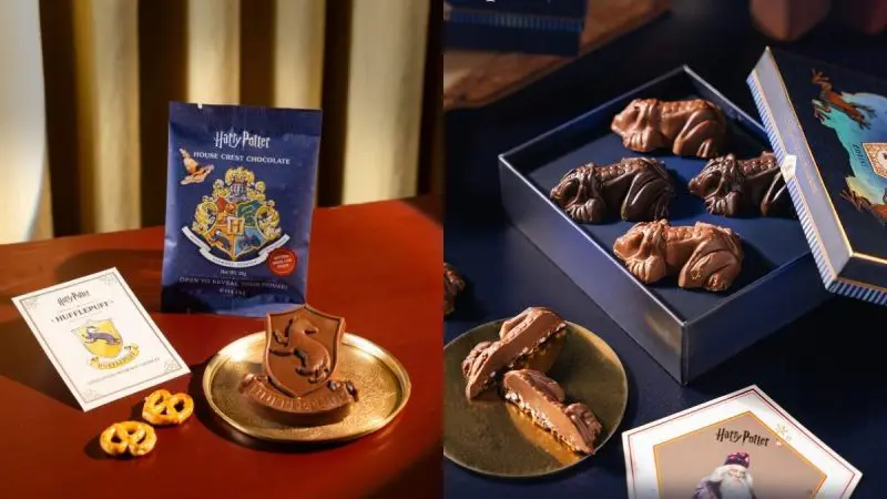India Just Got Harry Potter-Themed Chocolates! Bite Into Hogwarts Express Bars & Chocolate Frogs