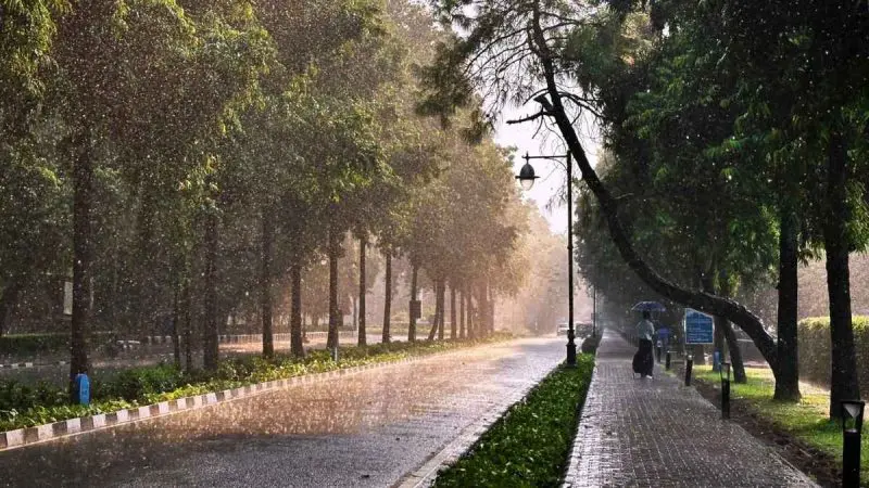 India Weather Update: Mumbai Gets Relief From Heavy Rain; Delhi, Several States On Alert