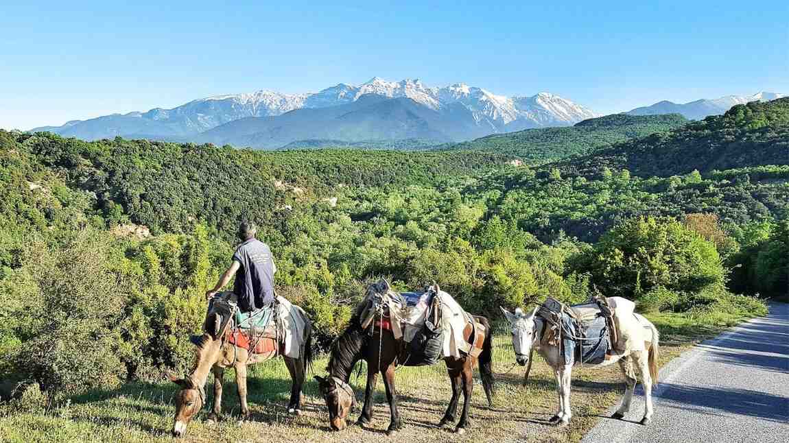 UNESCO Adds Greece’s Mount Olympus, France’s D-Day Beaches To The World Heritage List