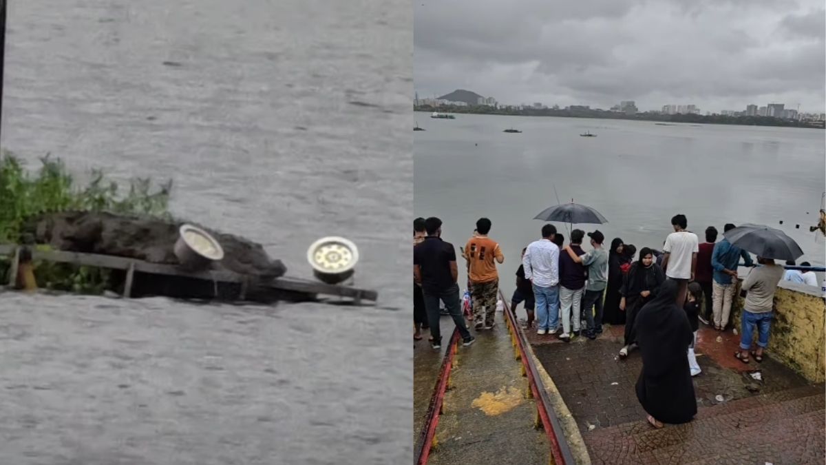 Amid Heavy Rains, Mumbaikars Are Flocking To Powai Lake For Crocodile Spotting