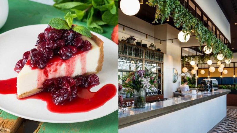 7 Best International Cheesecake Day Offers In Dubai To Skip The Calories Count For