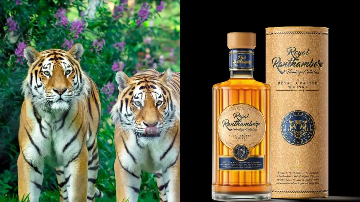World Tiger Day: Royal Ranthambore Unveils Limited-Edition Whisky Inspired By India’s Tigers