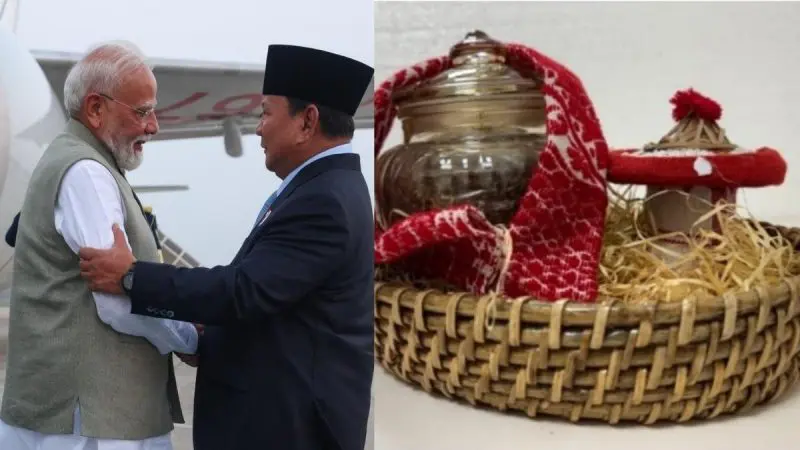 What Is Assam’s Gold Tea, PM Modi’s Gift To Indonesian President?