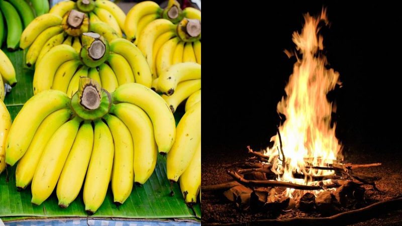 Fact Check: Are Bananas Really Fireproof? Truth Behind Viral Claim Revealed!