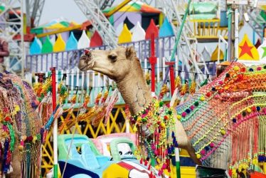 festivals india