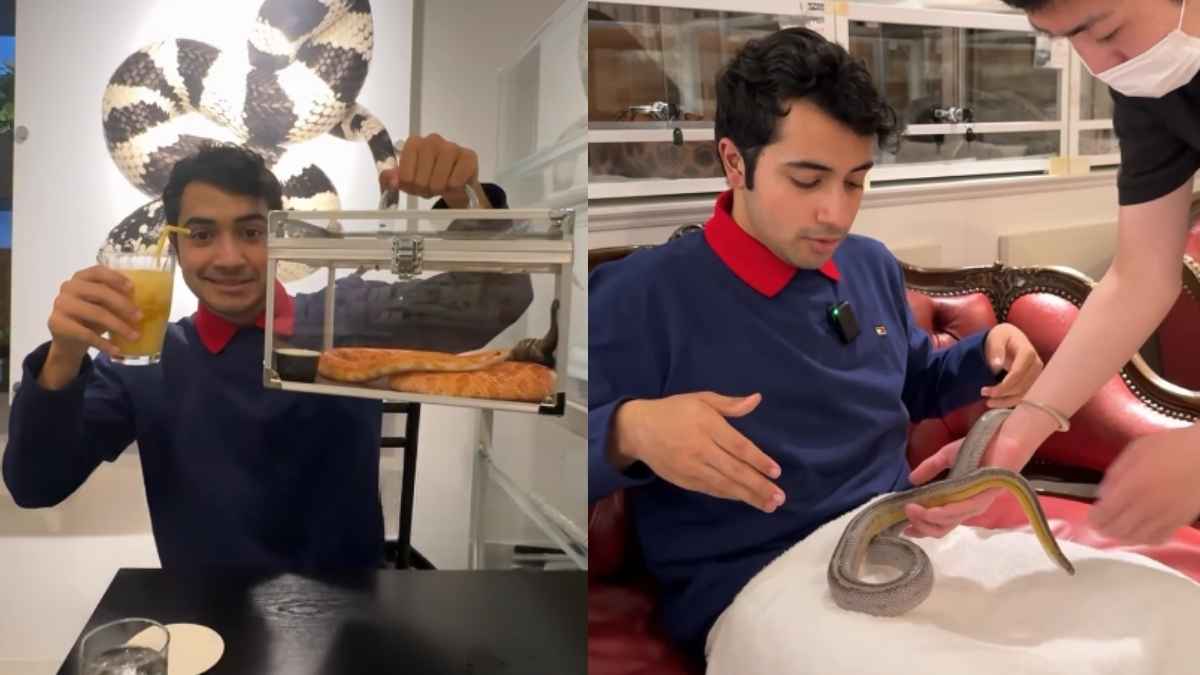 Content Creator Dines With Snakes At Japan Restaurant; Before Paying Bill, He Had To…