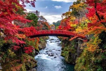 japan vs south korea