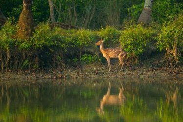kerala backwaters