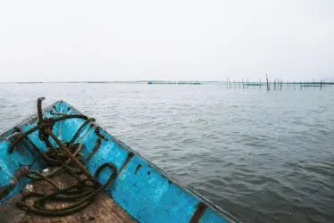 kerala backwaters