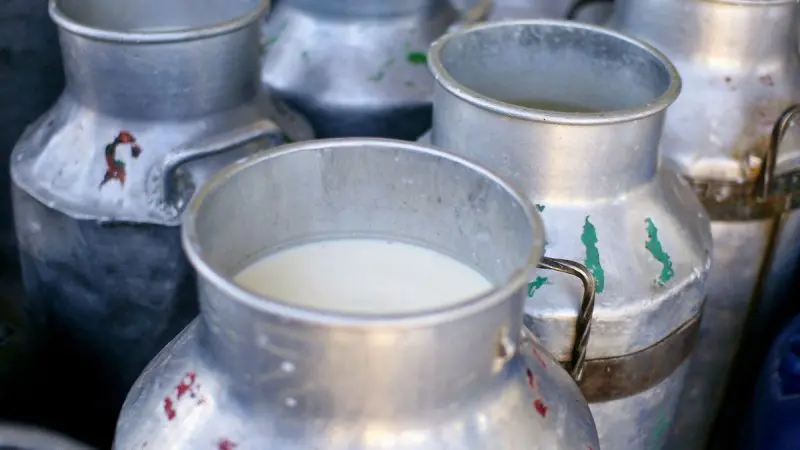 Maharashtra Milk Scam: How To Identify Adulterated Milk After 2.3 Cr Litre Synthetic Milk Crackdown