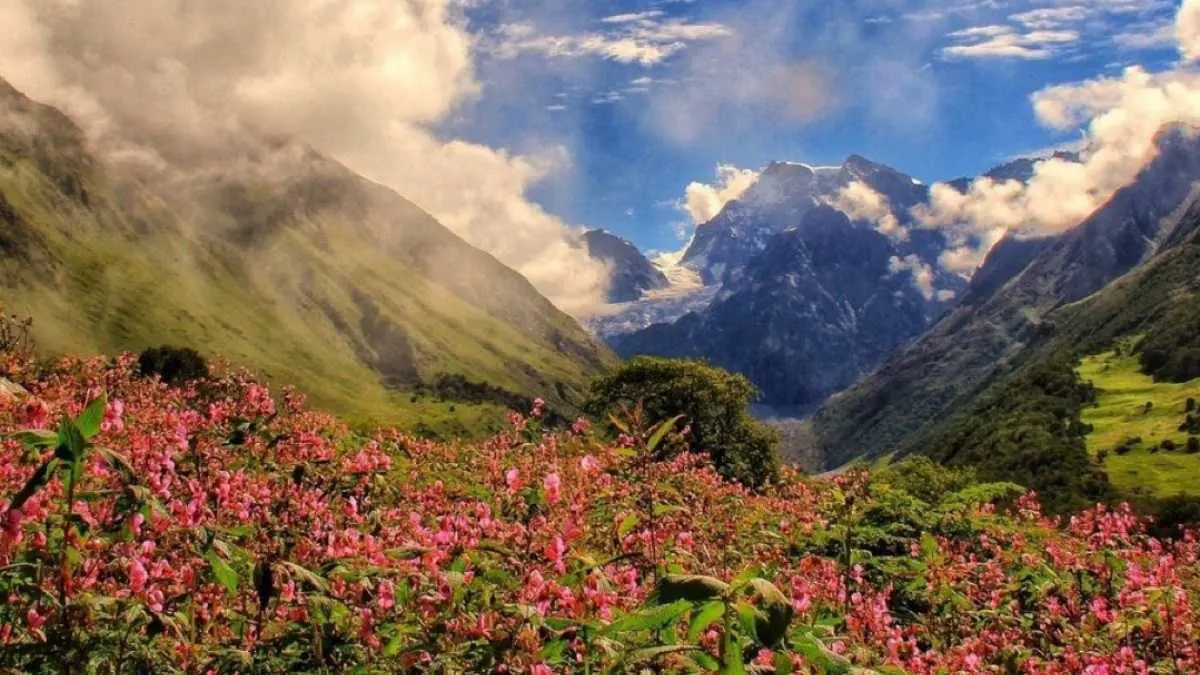 8 Places That Peak For Just 30 Days A Year